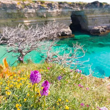 Casa Vacanze Venere Centro Storico Otranto, Salento 4 Posti Otranto